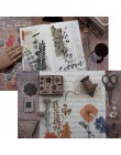 20 sztuk  zestaw Vintage suszony kwiat eukaliptusa szyszki sosnowe paproć roślina liściasta bawełna wzór materiał DIY scrapbook