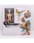 SHFiguarts BODY KUN BODY CHAN nowoczesne manekiny figurka rysunek szkic Model ze stojakiem na linie kamery zestaw papeterii